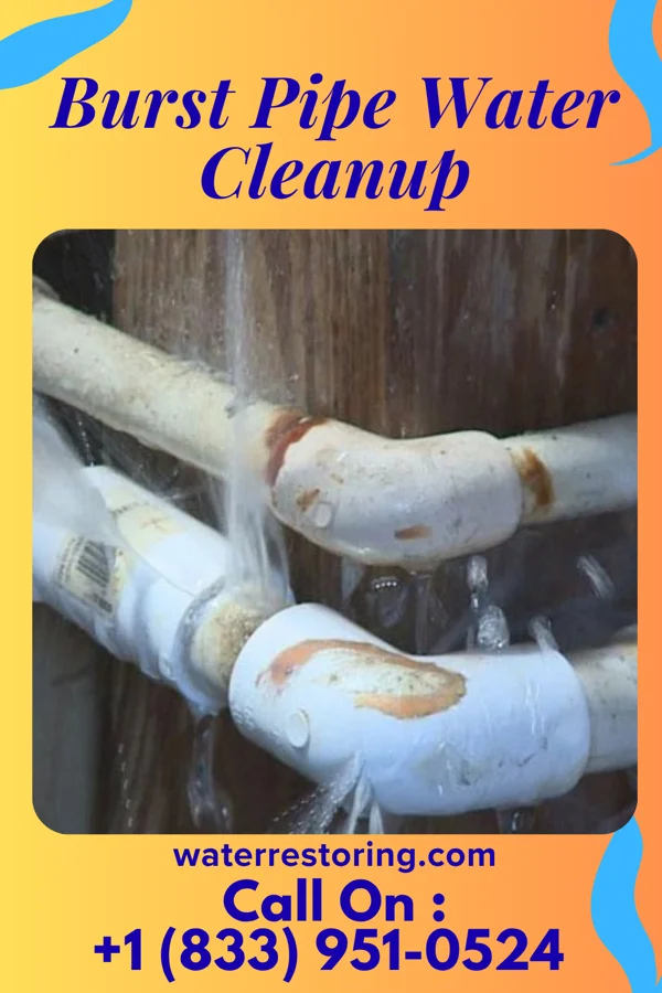 Burst Pipe Water Cleanup in Box Canyon, TX