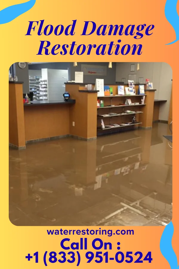 Flood Damage Restoration in Box Canyon, TX