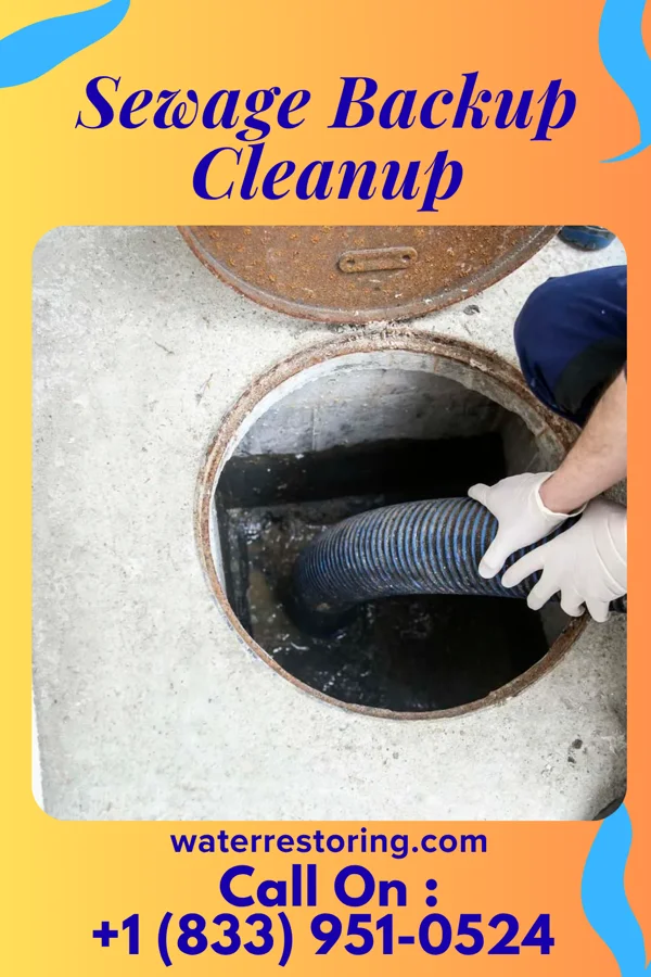 Sewage Backup Cleanup in Box Canyon, TX
