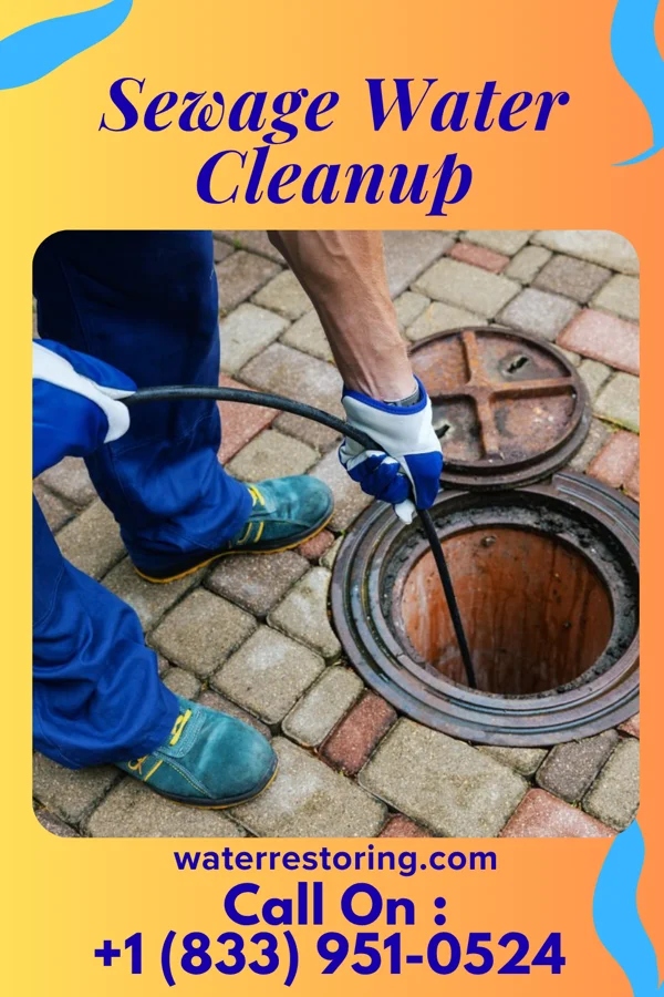 Sewage Water Cleanup in Box Canyon, TX